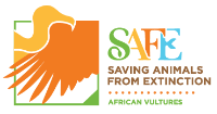 African Vulture SAFE logo